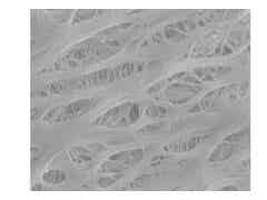 義騰新能源 微孔單層隔膜