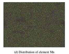LiF改性后NCM811正極材料的SEM照片及 Ni、Co、Mn和F元素的面分布圖