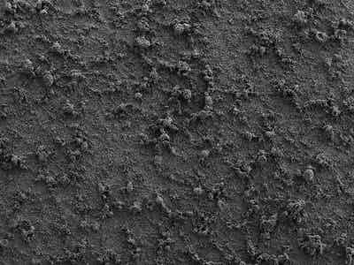 友恒實(shí)業(yè)水性PVDF電池隔膜