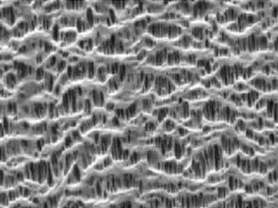 義騰新能源 高倍率微孔單層隔膜