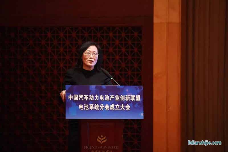 中國(guó)汽車(chē)工業(yè)協(xié)會(huì)副秘書(shū)長(zhǎng)、創(chuàng)新聯(lián)盟秘書(shū)長(zhǎng)許艷華女士發(fā)表致