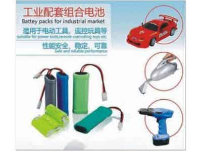 江特電機(jī) 鋰離子電池 工業(yè)級電池包