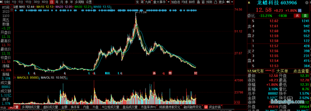 對龍蟠科技（603906.SH）