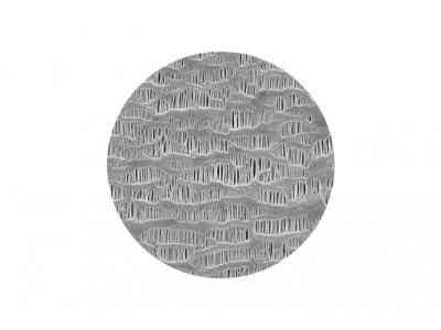 滄州明珠干法單向拉伸隔膜