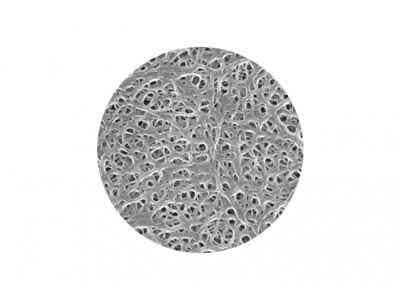 滄州明珠濕法同步雙向拉伸隔膜