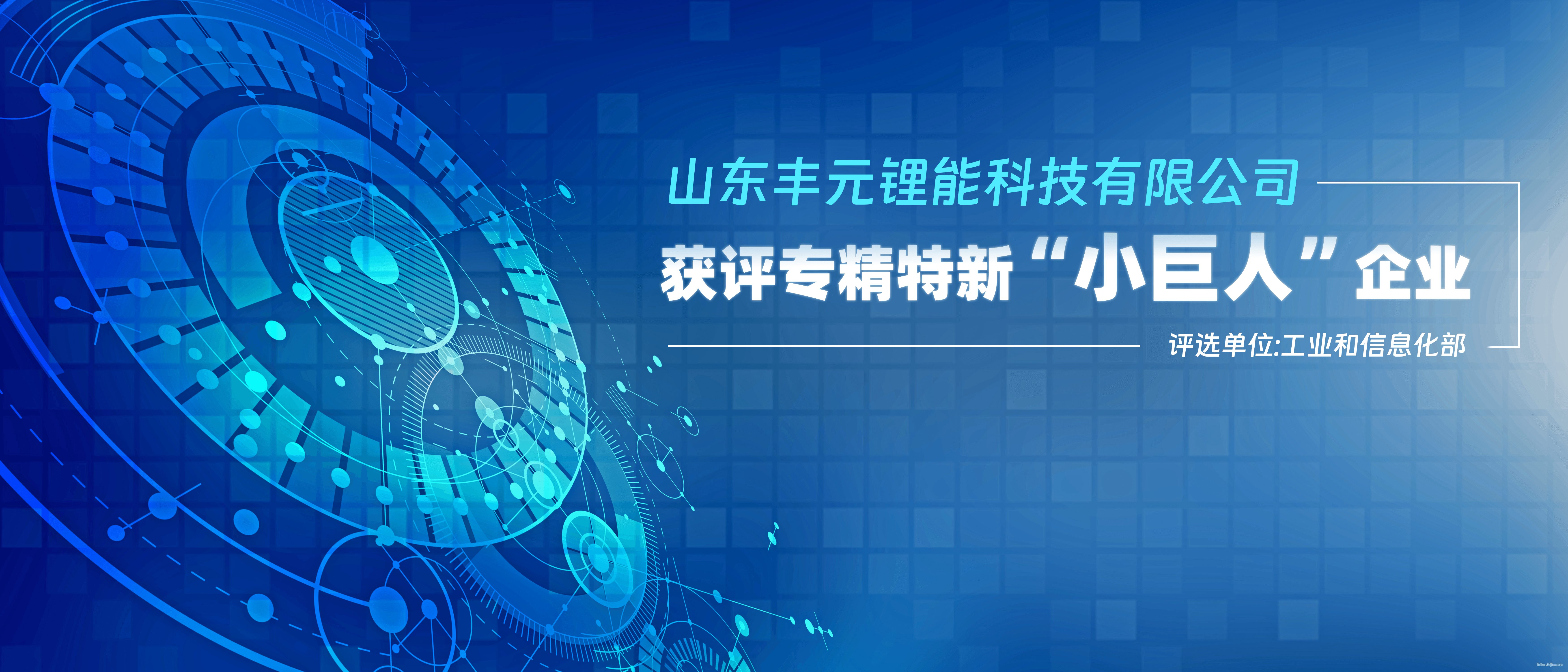 豐元鋰能獲評(píng)專(zhuān)精特新小巨人企業(yè)