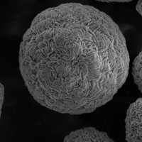 邦普循環(huán)鎳鈷錳氫氧化物PH8302